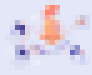 狗子28体育
